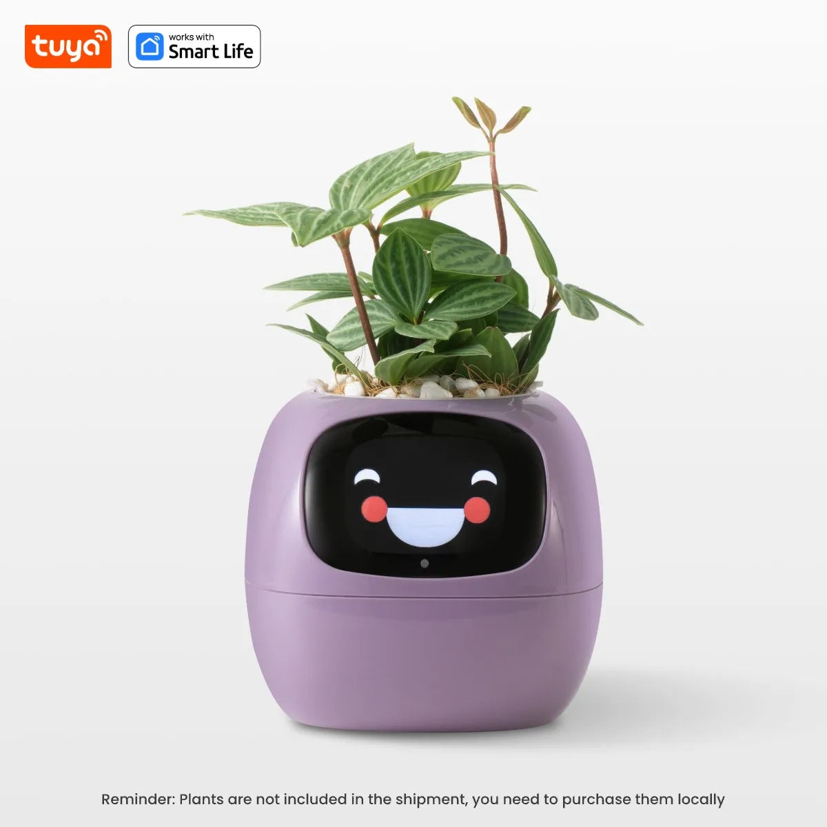 Smart Planter: 49 Expressions, 7 Sensors, Endless Fun – The Future of Plant Care