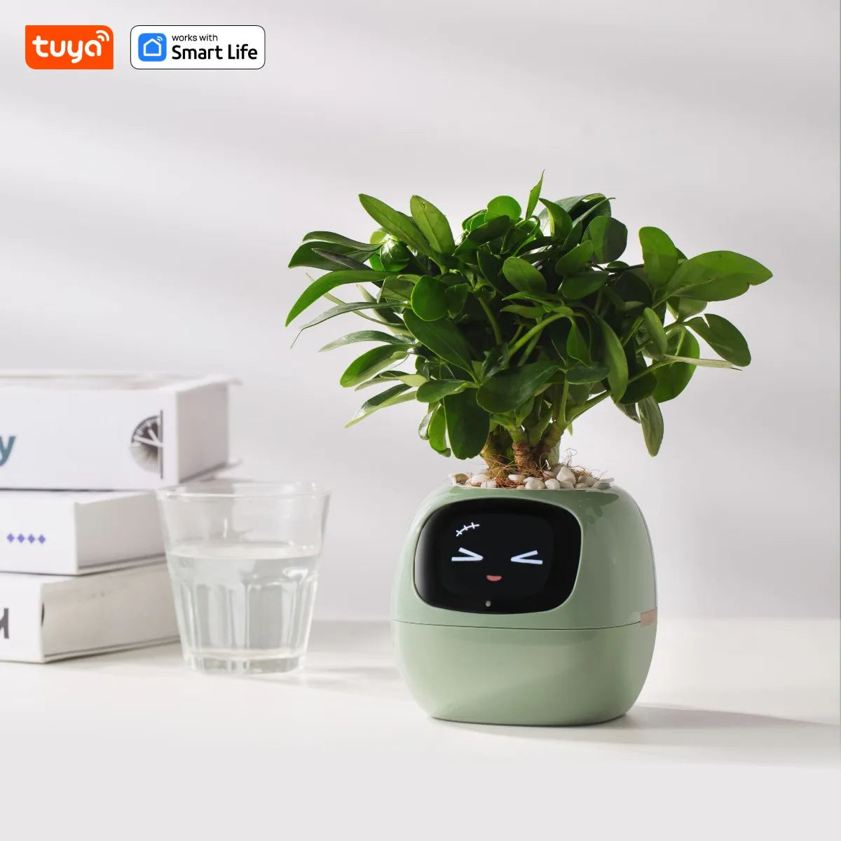 Smart Planter: 49 Expressions, 7 Sensors, Endless Fun – The Future of Plant Care