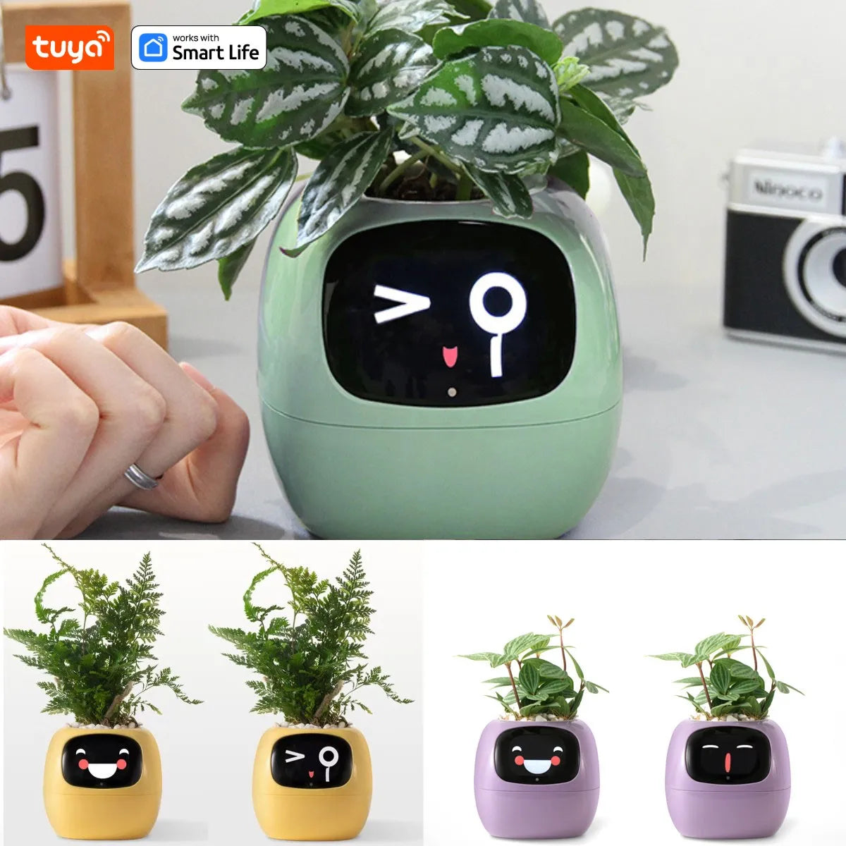 Smart Planter: 49 Expressions, 7 Sensors, Endless Fun – The Future of Plant Care