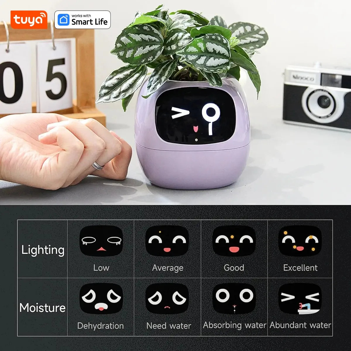 Smart Planter: 49 Expressions, 7 Sensors, Endless Fun – The Future of Plant Care